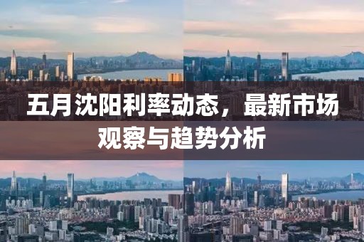 五月沈陽利率動態(tài)，最新市場觀察與趨勢分析