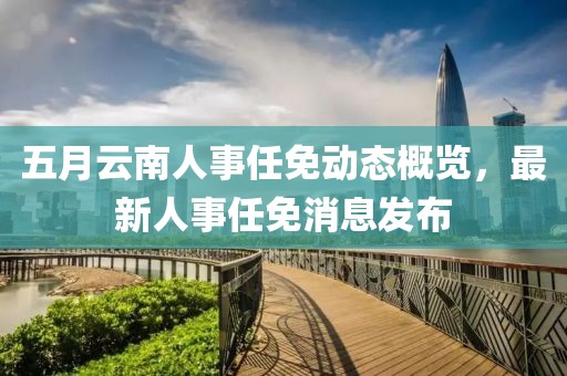 五月云南人事任免動(dòng)態(tài)概覽，最新人事任免消息發(fā)布