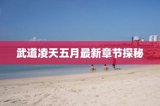 武道凌天五月最新章節(jié)探秘