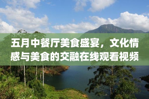 五月中餐廳美食盛宴，文化情感與美食的交融在線觀看視頻