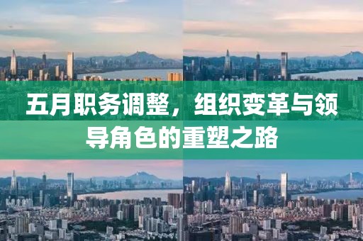 五月職務(wù)調(diào)整，組織變革與領(lǐng)導(dǎo)角色的重塑之路