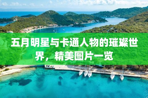 澳門正版資料 第6頁