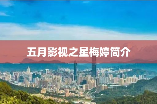五月影視之星梅婷簡介