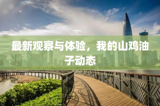 五月三級片電影下載熱潮，探索電影世界，深入了解現象