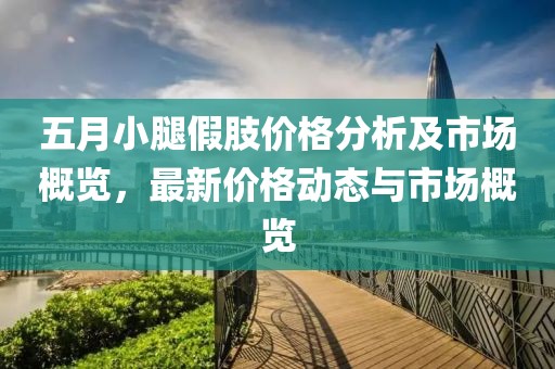 五月小腿假肢價格分析及市場概覽，最新價格動態(tài)與市場概覽