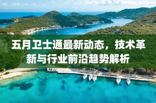 五月衛(wèi)士通最新動(dòng)態(tài)，技術(shù)革新與行業(yè)前沿趨勢(shì)解析