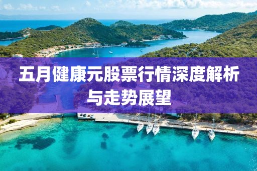 五月健康元股票行情深度解析與走勢展望