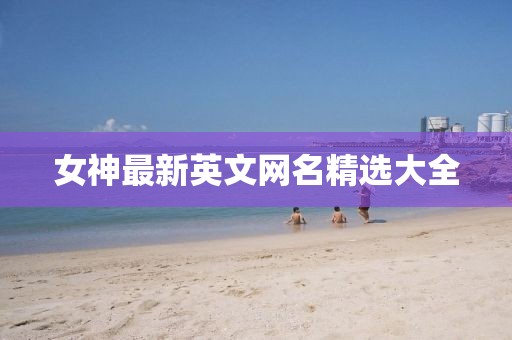 五月最新恐龍發(fā)現(xiàn)揭秘，史前巨獸的神秘面紗