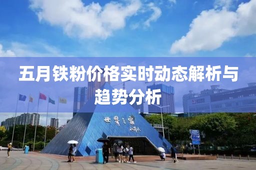 五月鐵粉價格實時動態(tài)解析與趨勢分析
