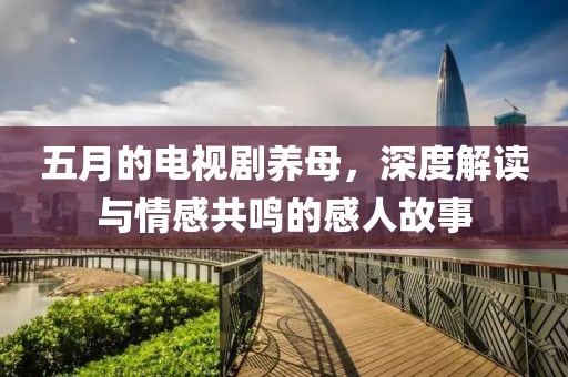 五月的電視劇養(yǎng)母，深度解讀與情感共鳴的感人故事