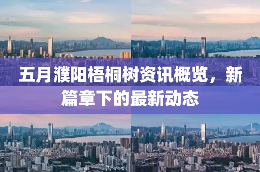 五月濮陽梧桐樹資訊概覽，新篇章下的最新動態(tài)