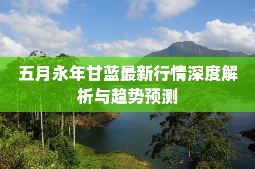 五月永年甘藍最新行情深度解析與趨勢預(yù)測