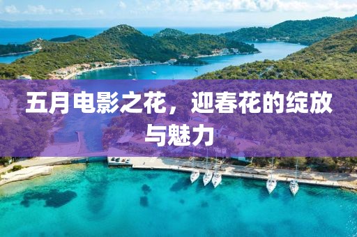 五月電影之花，迎春花的綻放與魅力