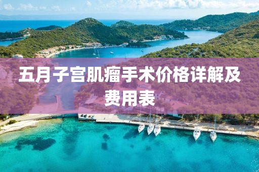 五月子宮肌瘤手術價格詳解及費用表