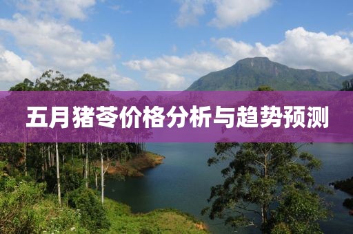 五月豬苓價格分析與趨勢預測