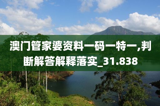 澳門管家婆資料一碼一特一,判斷解答解釋落實_31.838