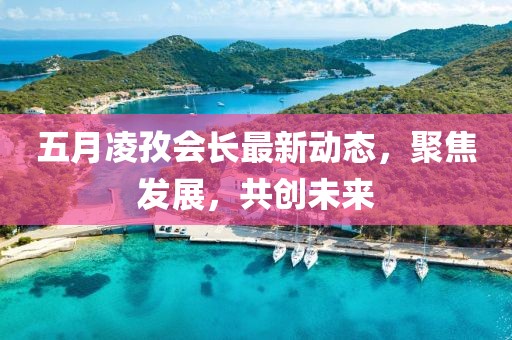 五月凌孜會長最新動態(tài)，聚焦發(fā)展，共創(chuàng)未來