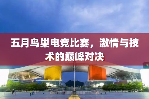 五月鳥巢電競比賽，激情與技術(shù)的巔峰對決