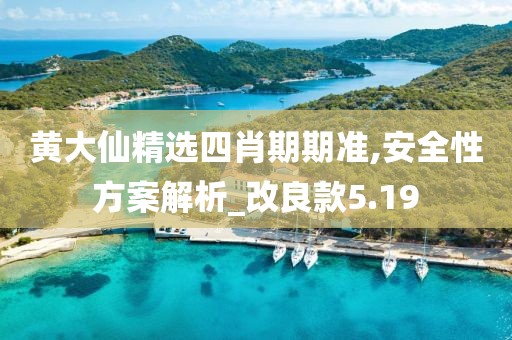 黃大仙精選四肖期期準(zhǔn),安全性方案解析_改良款5.19
