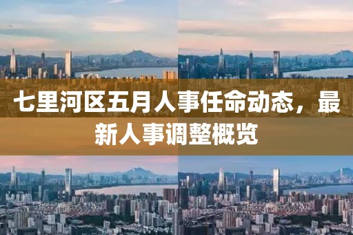 七里河區(qū)五月人事任命動(dòng)態(tài)，最新人事調(diào)整概覽