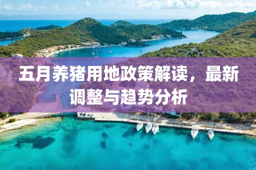 五月養(yǎng)豬用地政策解讀，最新調(diào)整與趨勢分析
