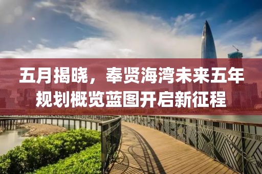 五月揭曉，奉賢海灣未來五年規(guī)劃概覽藍圖開啟新征程