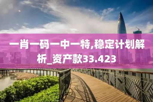 一肖一碼一中一特,穩(wěn)定計劃解析_資產(chǎn)款33.423