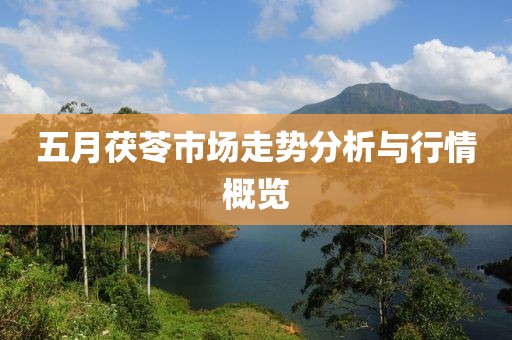 五月茯苓市場走勢分析與行情概覽