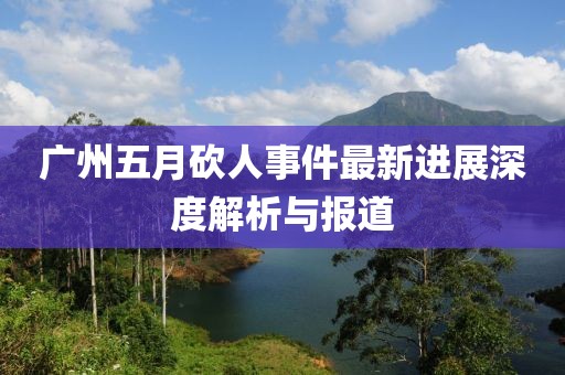 廣州五月砍人事件最新進展深度解析與報道