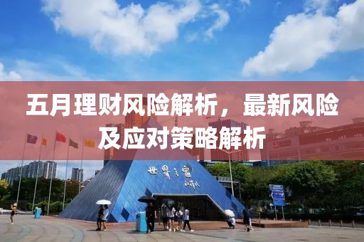 五月理財(cái)風(fēng)險(xiǎn)解析，最新風(fēng)險(xiǎn)及應(yīng)對策略解析
