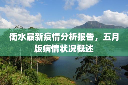 衡水最新疫情分析報(bào)告，五月版病情狀況概述