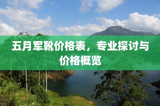五月軍靴價格表，專業(yè)探討與價格概覽