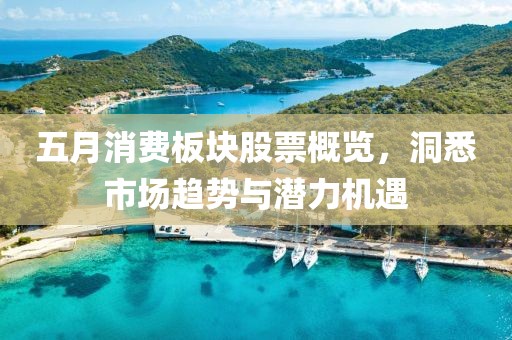 五月消費(fèi)板塊股票概覽，洞悉市場(chǎng)趨勢(shì)與潛力機(jī)遇