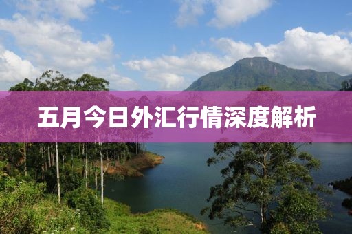 五月今日外匯行情深度解析