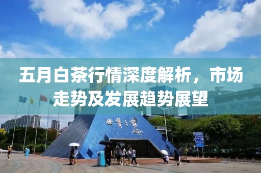 五月白茶行情深度解析，市場(chǎng)走勢(shì)及發(fā)展趨勢(shì)展望