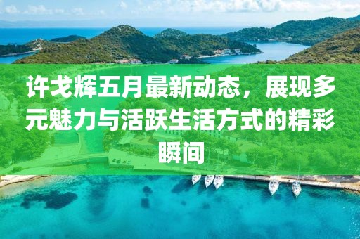 許戈輝五月最新動(dòng)態(tài)，展現(xiàn)多元魅力與活躍生活方式的精彩瞬間