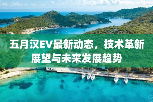 五月漢EV最新動態(tài)，技術革新展望與未來發(fā)展趨勢