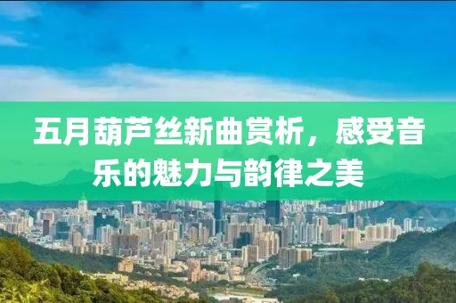 五月葫蘆絲新曲賞析，感受音樂(lè)的魅力與韻律之美