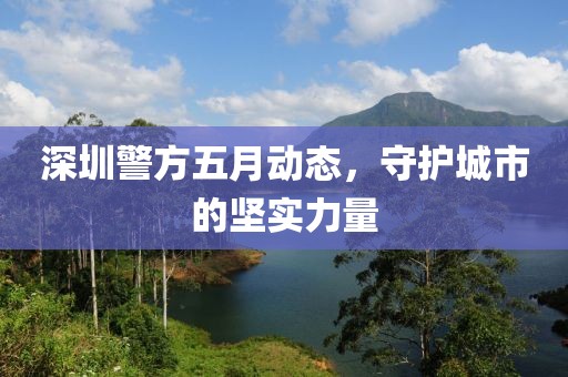 深圳警方五月動(dòng)態(tài)，守護(hù)城市的堅(jiān)實(shí)力量