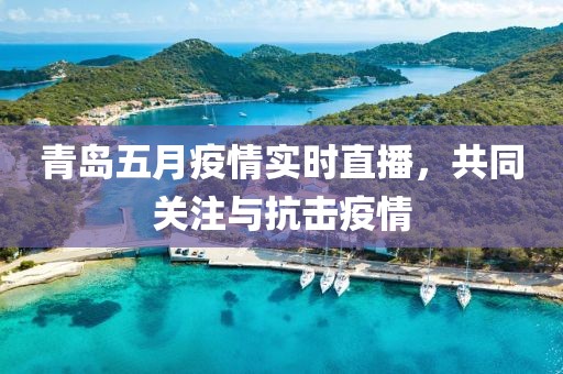 青島五月疫情實(shí)時(shí)直播，共同關(guān)注與抗擊疫情