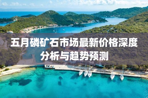 五月磷礦石市場(chǎng)最新價(jià)格深度分析與趨勢(shì)預(yù)測(cè)