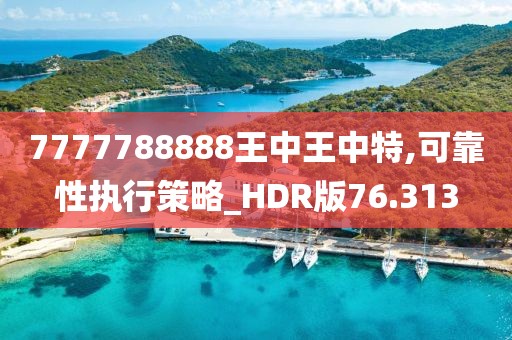 7777788888王中王中特,可靠性執(zhí)行策略_HDR版76.313