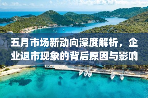 五月市場(chǎng)新動(dòng)向深度解析，企業(yè)退市現(xiàn)象的背后原因與影響