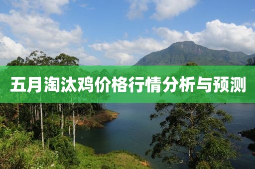 五月淘汰雞價格行情分析與預(yù)測
