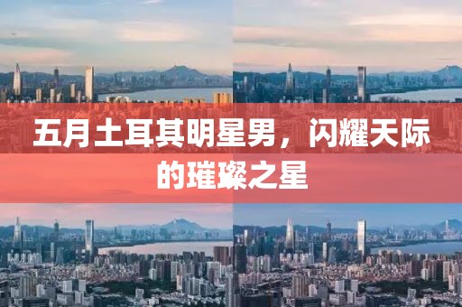 五月土耳其明星男，閃耀天際的璀璨之星