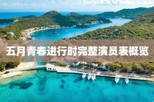 五月青春進(jìn)行時(shí)完整演員表概覽