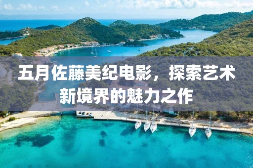 五月佐藤美紀(jì)電影，探索藝術(shù)新境界的魅力之作