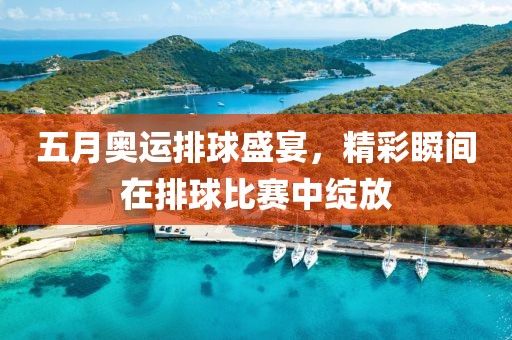 五月奧運(yùn)排球盛宴，精彩瞬間在排球比賽中綻放
