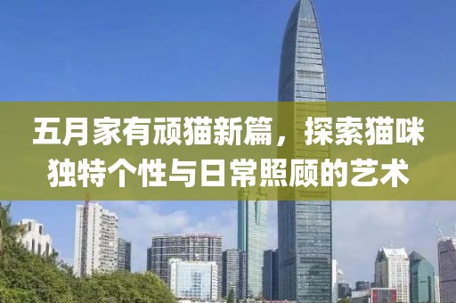 五月家有頑貓新篇，探索貓咪獨(dú)特個(gè)性與日常照顧的藝術(shù)