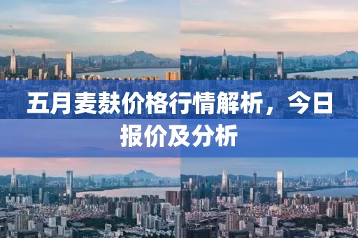 五月麥麩價格行情解析，今日報價及分析